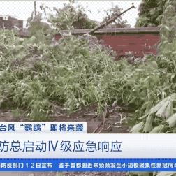 湛江天气预报15天查询（广州湛江天气预报15天查询）