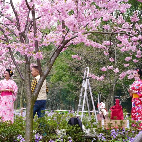 武汉天气预报15天气报（武汉天气预报15天气报武汉周边的景点）