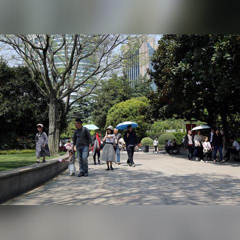 上海气象局（上海气象局官网气象报告）