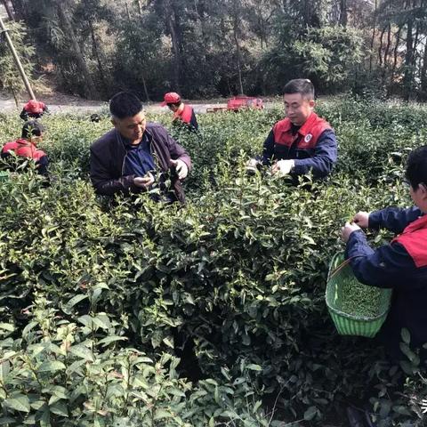 光山天气（明天光山天气）