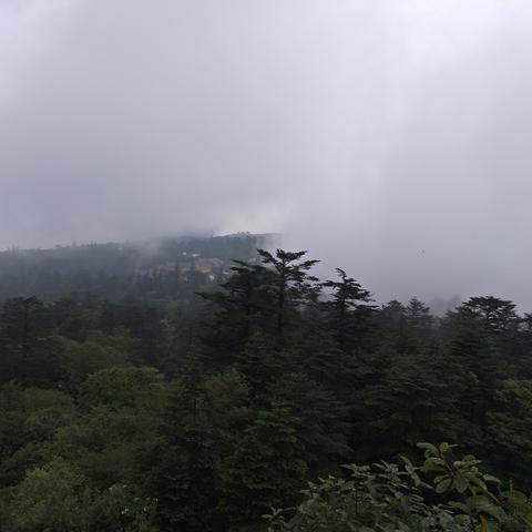 四川旅游攻略最佳线路（四川旅游攻略）