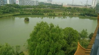 海南温度现在多少度(海南温度现在多少度啊) 海南温度现在多少度(海南温度现在多少度啊)