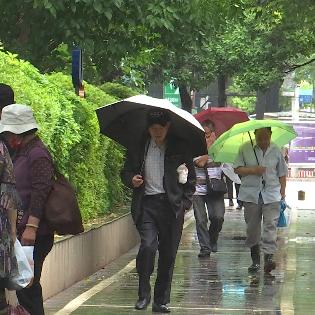 西双版纳天气(西双版纳天气6月份天气预报) 西双版纳天气(西双版纳天气6月份天气预报)