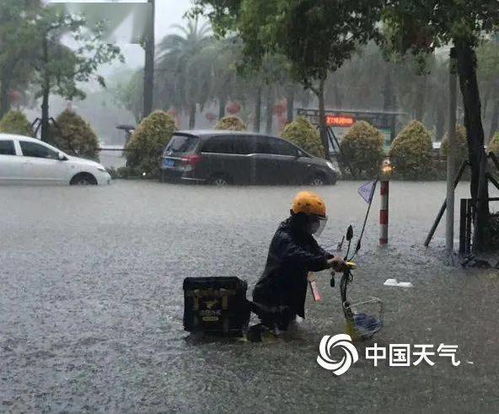 淄博暴雨18人死亡（淄博暴雨18人死亡人数）