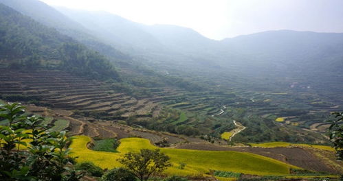 嵊州天气预报（嵊州天气预报15天准确一览表）