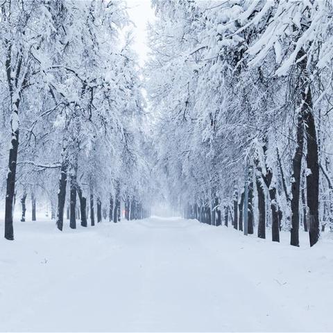 萍乡市天气预报（萍乡市天气预报）