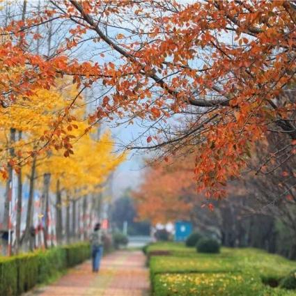 日照天气预报（日照天气预报15天最新消息）