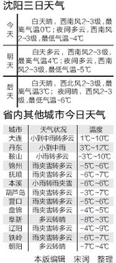 沈阳市天气预报15天（沈阳市天气预报15天查询）