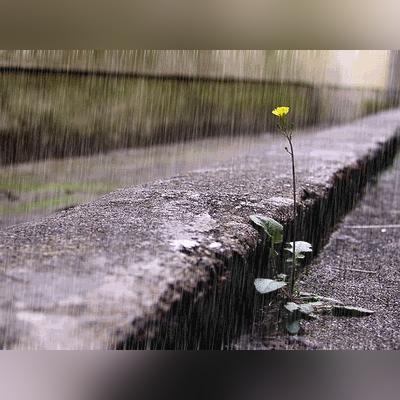 长沙未来一周天气（长沙未来一周天气情况）