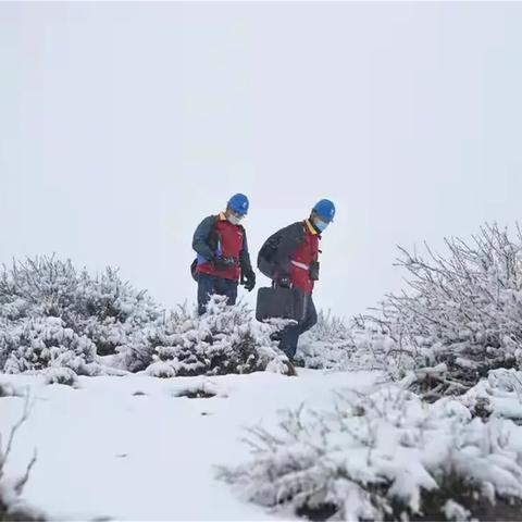 黑龙江伊春天气（黑龙江伊春天气）