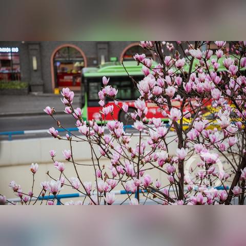 万州天气预报15天（万州天气预报15天查询免费）