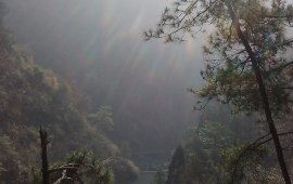 松阳天气预报（丽水天气预报）