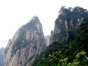 黄山天气预报（黄山天气预报15天景区山顶）
