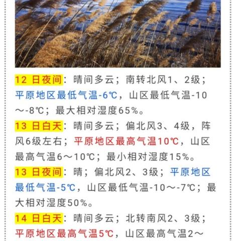 北京天气预报15天准确天（北京天气预报15天准确天气查询表图片大全）