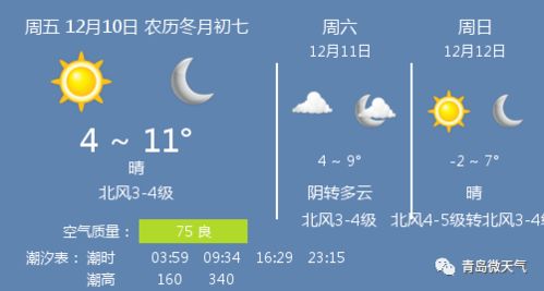 山东青岛天气预报15天（10月中旬青岛天气）